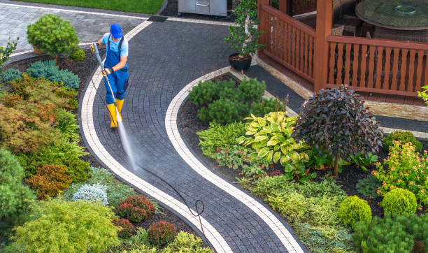 Best Pressure Washing Driveway  in Woodmont, CT